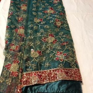 Beautiful tissue sari